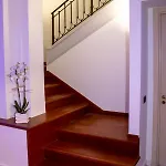 Xenia 3*